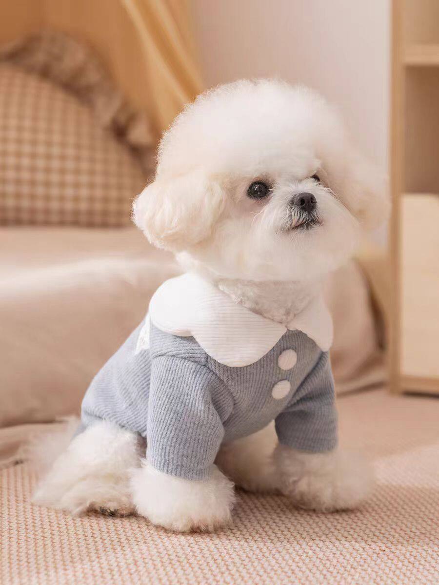 小型犬秋冬两脚保暖衣服博美比熊贵宾宠物双色纽扣打底狗狗衫