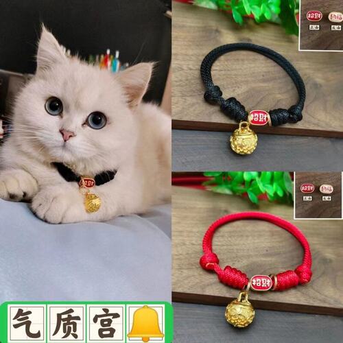 猫狗新款宠物项链招财纳福宠物项圈中小型猫狗饰品挂件小声音铃铛