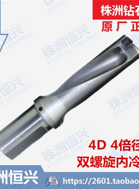 ZTD04-310-XP32-SP09-02 株洲钻D石牌4倍径潜孔钻 SPGT090408-PM