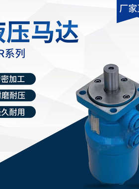液压马达BM2/BMR-80 125 160 20F0 250 315 400模具用油马达