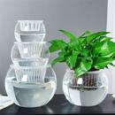 水培植物玻璃瓶透明水养绿萝花瓶花盆大号玻璃圆球形鱼缸器皿容器