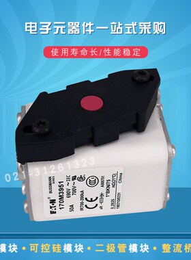 170M3931 3951 3952 3953 3954 3955 3956 3957巴斯曼快速熔断器