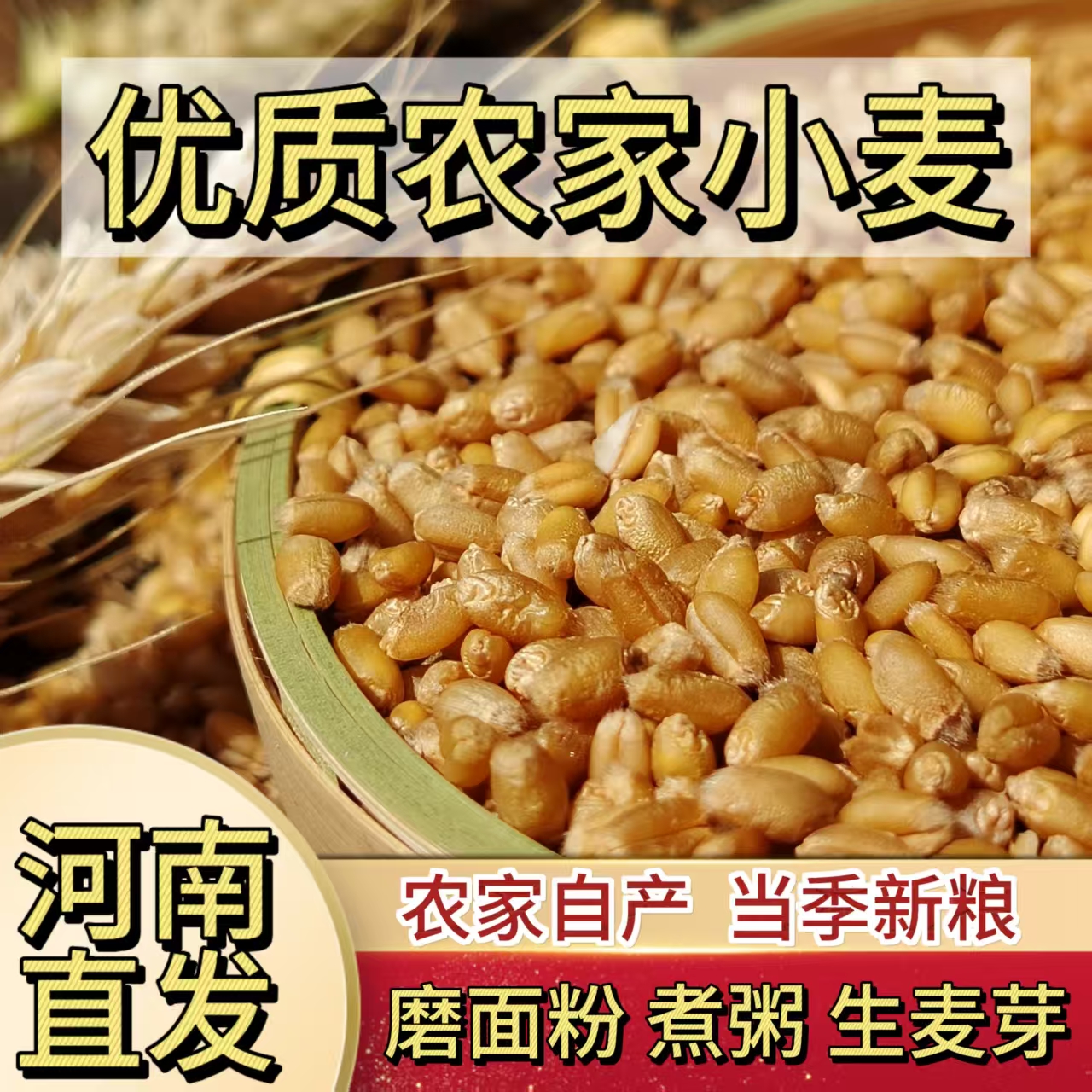 雜糧小麥粒麥芽糖食用磨面藥引麥芽糖發(fā)芽草種子榨汁釀酒貓草烘焙