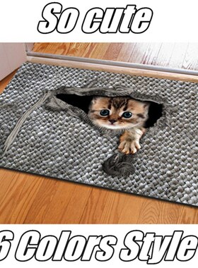 Floor Mat for Entrance Door Anti-slip Door CarRpet for Livin