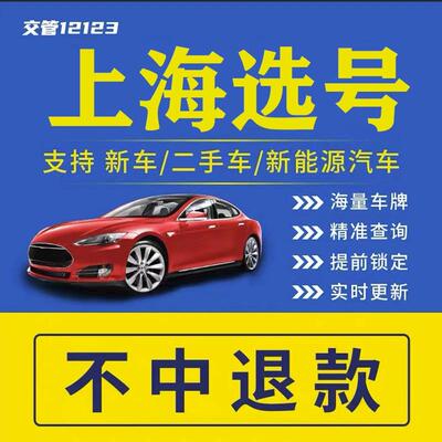 上海车牌选号沪牌新能源汽车数据库查询占用12123自编自选车牌照