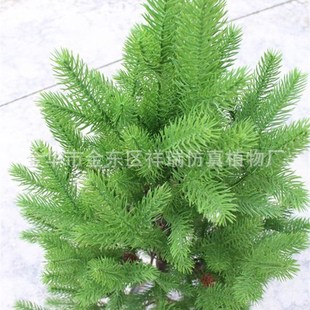 仿真亚洲植物秦岭冷m杉叶云杉水杉塔形岷江杉0.95米兴安落叶松