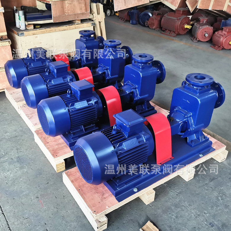 50ZW20-40无堵塞自吸泵 排污自吸泵 自吸排污泵