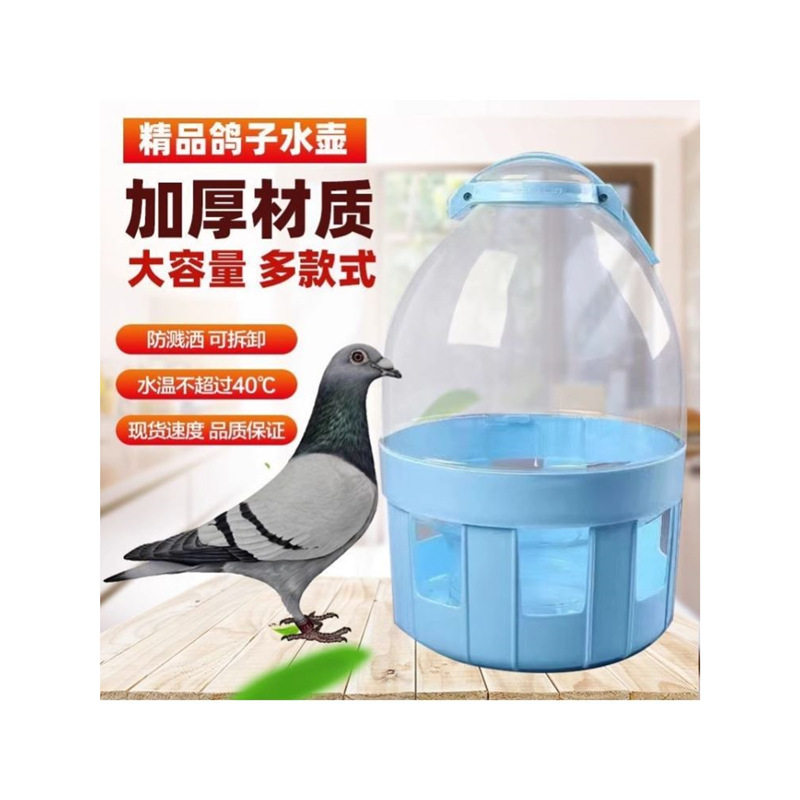 鸽子用品用具饮水器自动喂水信鸽