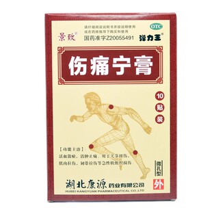 西山 景致 伤痛宁膏 10贴*7*10cm/盒