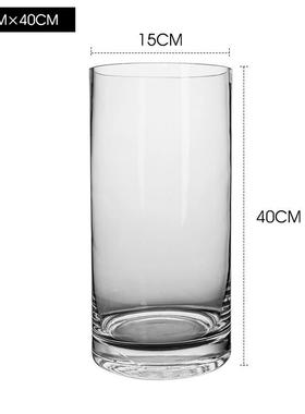 花瓶摆件客厅插花水养玻璃瓶透明马醉木富贵竹宽口水培器皿大