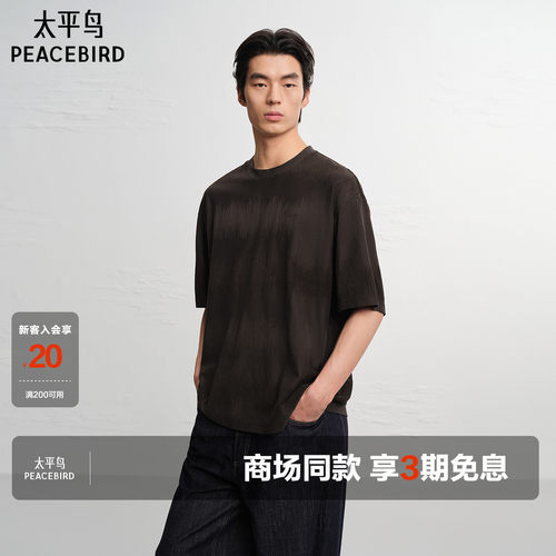 【商场同款】太平鸟男装 2026年夏季新款宽松刺绣T恤男B2CNG223L