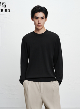 【商场同款】太平鸟男装 2025年冬季新款黑色圆领毛衫B1EBF4429