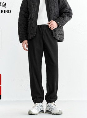 【商场同款】太平鸟男装 2025年冬季新款束脚卫裤休闲裤B2GMF4532