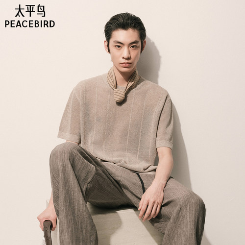 【商场同款】太平鸟男装 2026年夏季新款针织短袖T恤男B1EEG241Q