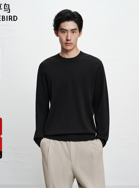 【商场同款】太平鸟男装 2025年冬季新款黑色圆领毛衫B1EBF4429