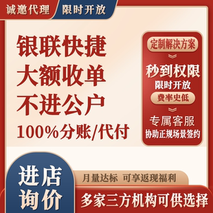 快捷支付 代付 分账 大额交易 抗投抗并发