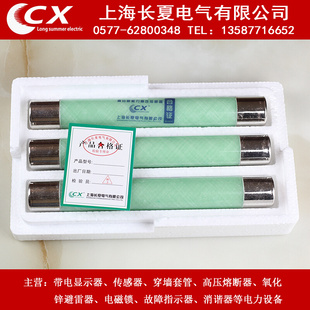 高压熔断器电压互感器保护用XRNP 1A厂价 XRNP 0.5A XRNP1