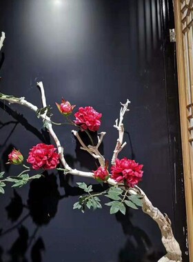 白色枯树枝e干枝许愿树枯树干霸王根造型树假树彷真树枝装饰造景