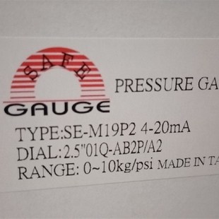 台湾华记不锈钢数显压力表SE 10kZg轴向法兰 M19P2