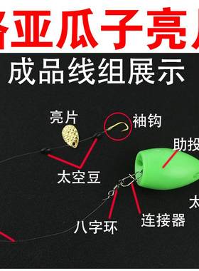 路亚亮片散装不伤线瓜子亮片微物马口白条翘嘴假饵缓沉浮水助投器