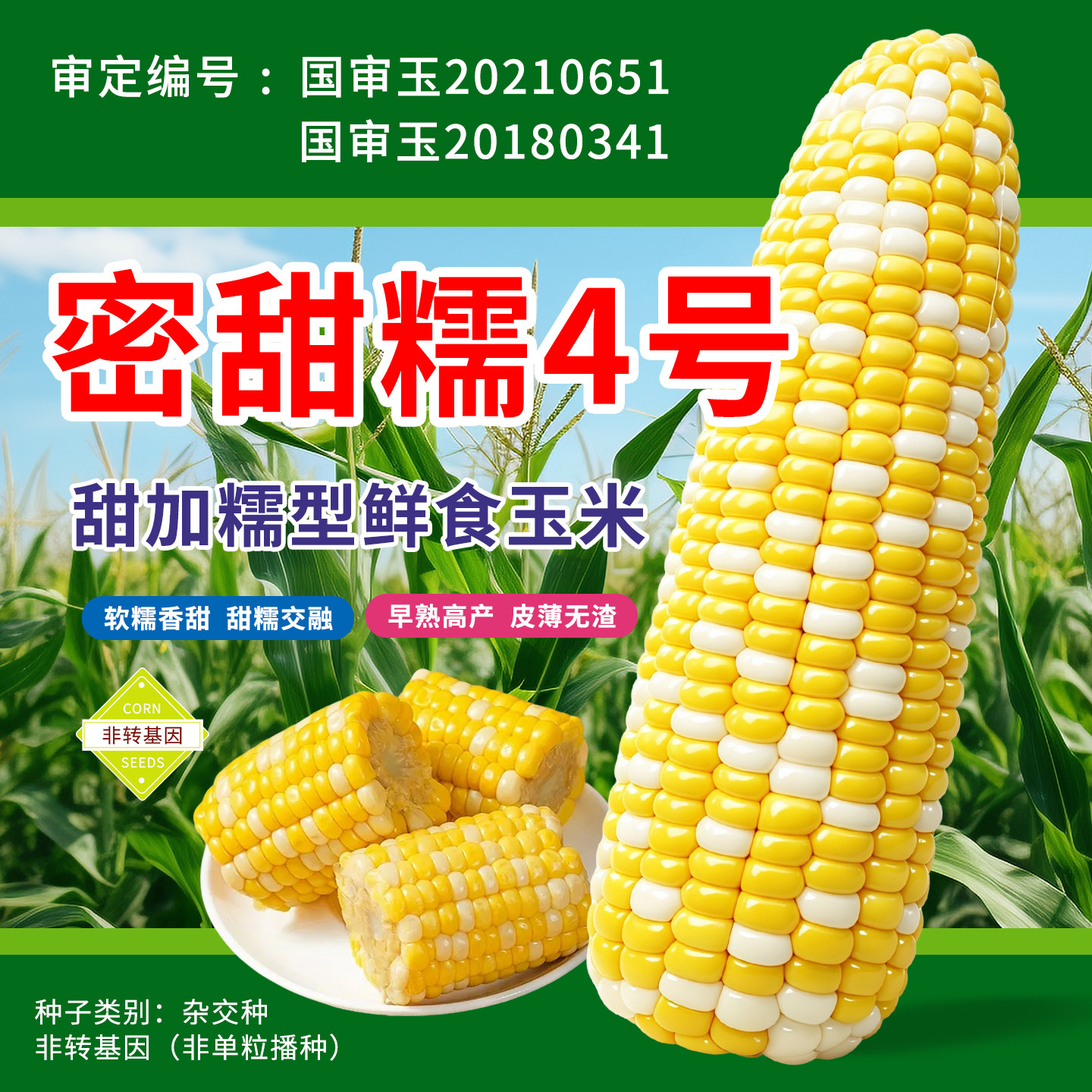 四季高产甜糯玉米种子