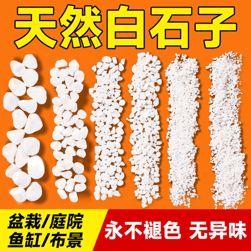 多肉盆栽装饰铺面石小白石子造景