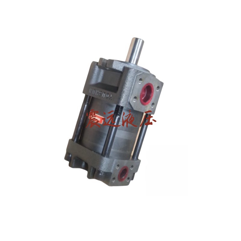 液压油泵IGP5-H063-3柱塞泵IwGP3-H010 H012H016 IGP4-H020