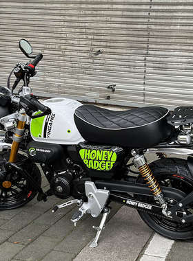 银钢蜜獾YG150-22H摩托改装配件E黑色后尾箱铁质架货架靠背后扶手