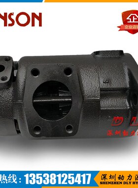 IVPV42-30/35/38/42-25/24/19/17-F-R-11AA/11AB/11AC/11XAD-10/1