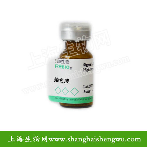 黏蛋白异a染染色液(天青A法)100mlREBIO R100203