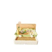 观星笼麓仓鼠笼双层60基础款 x超大亚景透明豪华大别墅易清理抽屉