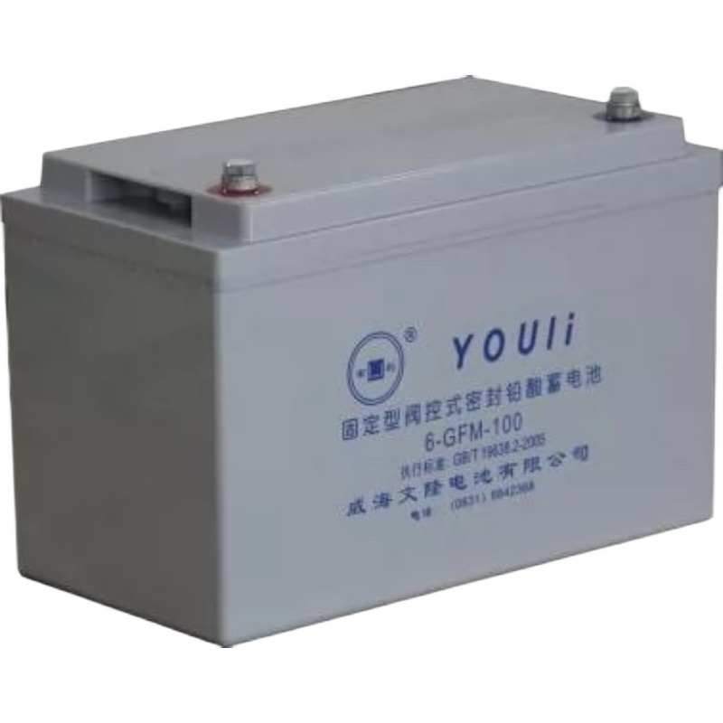 YOULEE有利蓄电池 6-rGFM-24电力/通讯系统电源12V24AH免维护