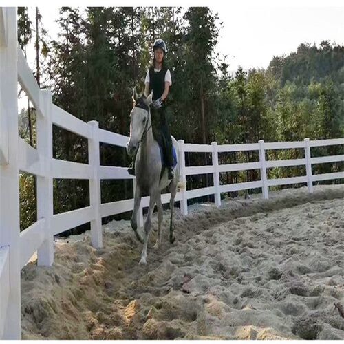 成都马场护栏 PVC马场围栏 塑钢马E场护栏 马术俱乐部围栏马术围