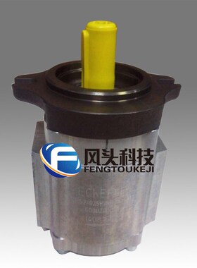 德国ECKERLE艾可勒EqIPH6-080RP23-1X?齿轮泵液压系统伺服泵