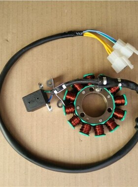力帆摩托车配件LF150-10B/10S KP/KPR15R0磁电机定子组合线圈
