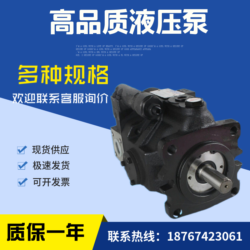 台湾液压柱塞d泵;V15G3R10X;V38G3R10X;V23G3R10X