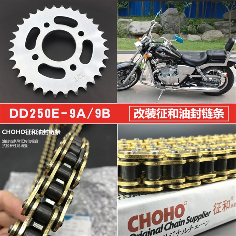 适用大地鹰王DD250G-2N DD250E-H9套炼牙盘大小飞炼轮征和油封炼