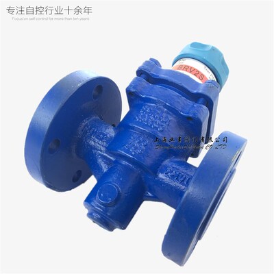 piraxXOUSarco斯派莎克BRVA2S-直接作高用式温蒸汽空气减压S阀DN1