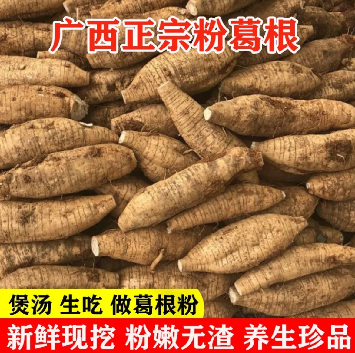 葛根新鲜广西和平粉葛无渣香甜现挖大山野葛薯广东煲汤葛根粉
