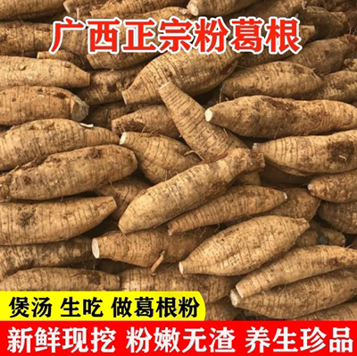 广西和平粉葛根粉嫩无渣新鲜现挖