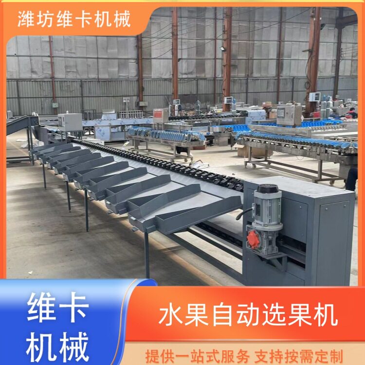 小型分选机水果自动上果分级分重量大小选果机厂家