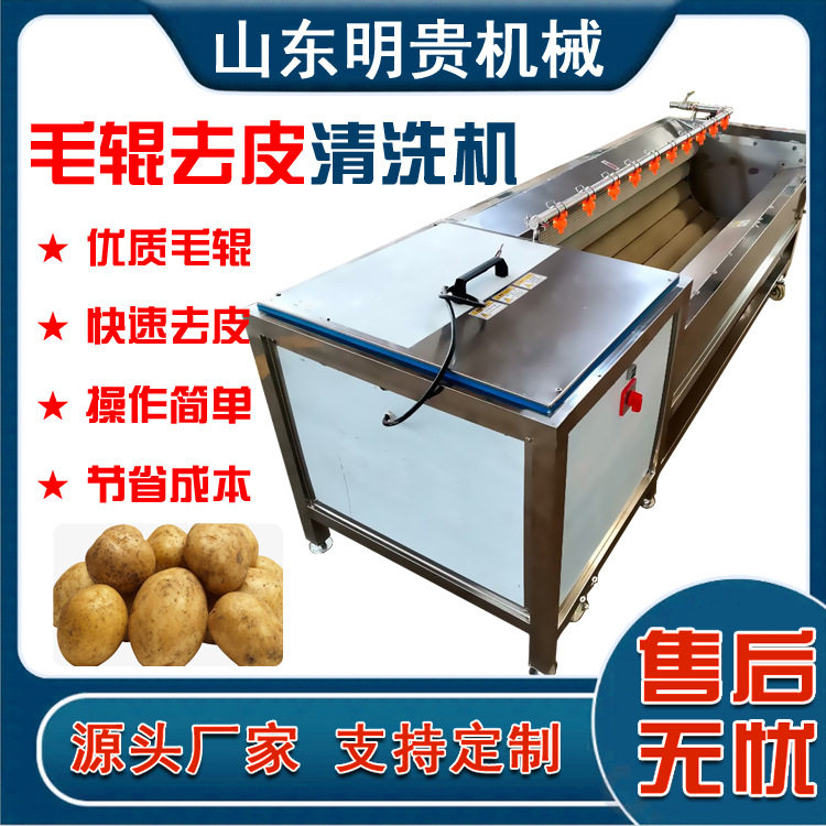 红薯土豆清洗去皮机 毛辊去皮清洗机型号 果蔬去皮机农产品机械