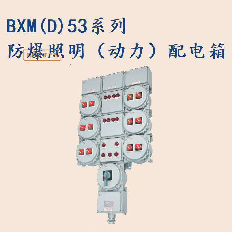 铝合金防爆配电箱BXM(D) 防爆照明电源箱定/制四回路BXMD53