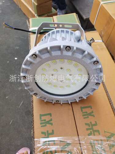 LED隔爆防水防爆灯100W