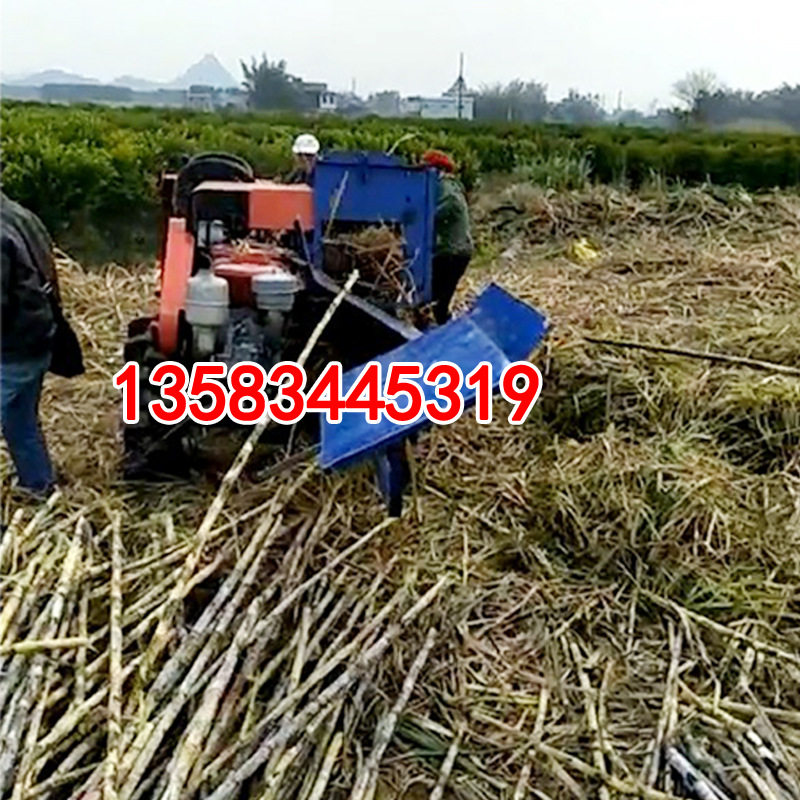 4BC-350Z自走式甘蔗剥叶机甘蔗脱叶机削甘蔗叶子的机器禹城亚泰ww
