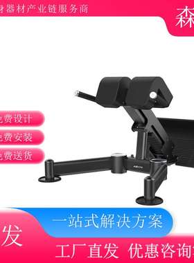 AEON正伦罗马椅挺腰器GS-733自由力量挺腰器竖脊肌训练