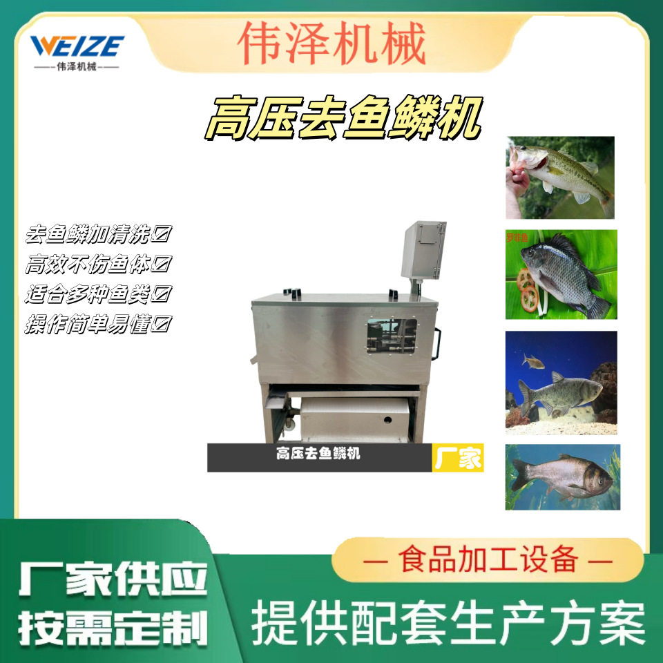 伟泽机械全自动电动去鱼鳞机