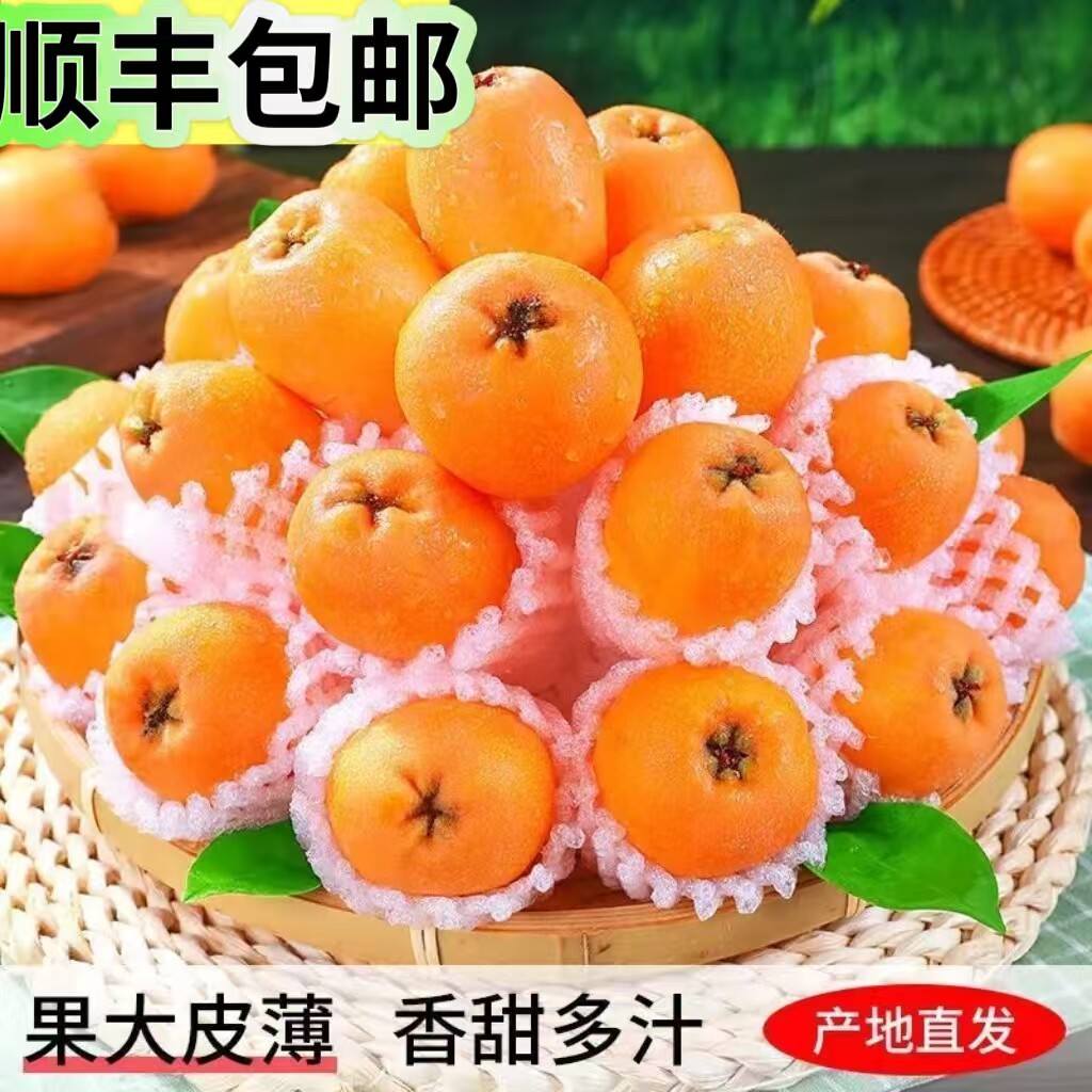 顺丰现货云南长虹枇杷大果新鲜5斤当季批把水果整箱现摘甜琵琶