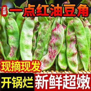 顺丰现摘东北特产油豆角一点红新鲜当季蔬菜九月开锅烂青面扁豆角