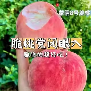 沂蒙山8号脆桃新鲜水果应季硬桃毛桃水蜜桃当季山东蒙阴桃子顺丰